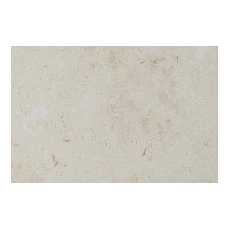 MSI Mayra White 16"X 24" Honed- Eased Edge Limestone Pool Coping ZOR-LSC-0004